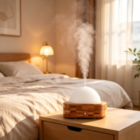 Diffuseur d'arômes ultrasonique à grain de bois, machine à parfum d'huiles essentielles, petit humidificateur d'aromathérapie de bureau pour la maison