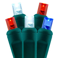Outdoor IP65 Wasserdichte 110V Spannung US Market Multi color 5MM LED Weihnachts fee Lichterkette für Christbaum schmuck