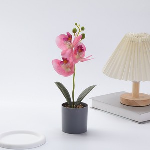 Plante en pot d'orchidée papillon artificielle en PU, décoration photo pour mariage et remise de diplôme, cadeau, vente chaude transfrontalière - Product Image 2