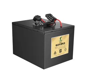 Aangepaste 24V 36V 48V 52V 60 V 72V30ah 40ah 60ah Lifepo4 Elektrische Auto Batterij 60 Volt oplaadbare Lithium-Ion Accu