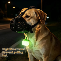 Collier lumineux LED rechargeable en silicone de type C pour animaux de compagnie, clignotant, sécurité nocturne, anti-perte, pour chats et chiens, promenade nocturne