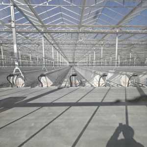 Invernadero de Vidrio Comercial Venlo para <span class=keywords><strong>Cultivo</strong></span> Hidropónico, Invernadero Agrícola de Vidrio con Sistemas de Soporte Completos - Product Image 4