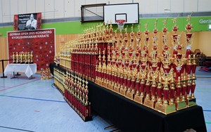 Recuerdo Deportivo, Trofeo de Plástico de la Liga de Campeones, Precio al por Mayor, Trofeos de Plástico Brillantes y Atractivos para <span class=keywords><strong>Ganadores</strong></span> - Product Image 4