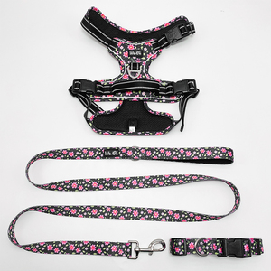 Set Pettorina e Guinzaglio per Cani Personalizzato con Motivi Floreali Riflettenti, Regolabile, Imbottito Morbido, Anti-Trazione, in Nylon e Plastica, per Cani Piccoli, Medi e Grandi - Product Image 1