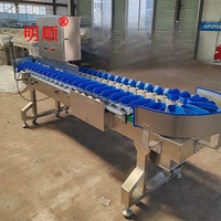 Trieuse circulaire multi-poids pour pieds de poulet ailes de poulet pieds de poulet classement de poids et échelle de tri