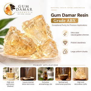 Gum Damar Resin Grade ABX Natural Transparent Golden Chunk From Indonesia For Perfumery And Aromatherapy - Product Image 2