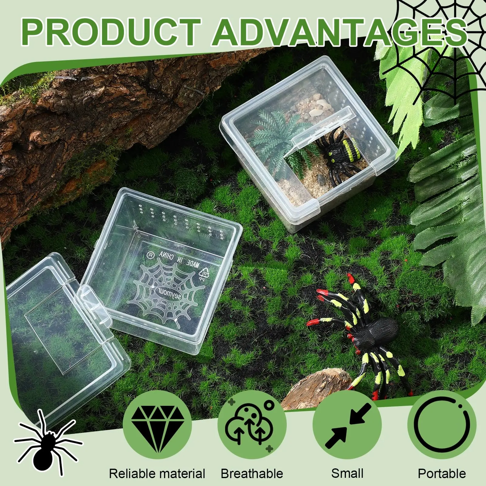 spider cage accessories
