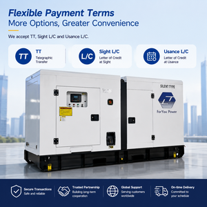 Generador Diésel <span class=keywords><strong>de</strong></span> 500KVA Cummings para Energía <span class=keywords><strong>de</strong></span> Reserva <span class=keywords><strong>de</strong></span> 550KVA con Control Sincrónico para Parques Logísticos Regionales y Suministro <span class=keywords><strong>de</strong></span> Equipos Críticos - Product Image 4