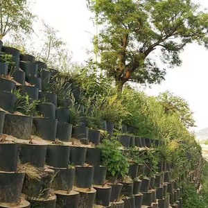 150mm 200m hauteur <span class=keywords><strong>Stabilisateur</strong></span> De <span class=keywords><strong>Gravier</strong></span> Grille PEHD Géocell mur de soutènement pour stabiliser les sols - Product Image 2