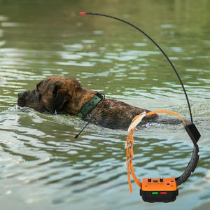 Collar <span class=keywords><strong>de</strong></span> seguimiento GPS <span class=keywords><strong>de</strong></span> sabueso <span class=keywords><strong>de</strong></span> grado profesional Rendimiento superior para pares <span class=keywords><strong>con</strong></span> rango extendido Ubicación en tiempo real Perro <span class=keywords><strong>de</strong></span> caza - Product Image 1