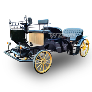 Elegante Carruaje Eléctrico para Turismo, Vehículo Turístico de Múltiples Asientos para Puntos Turísticos, Carruaje Panorámico de Cuatro Ruedas - Product Image 4