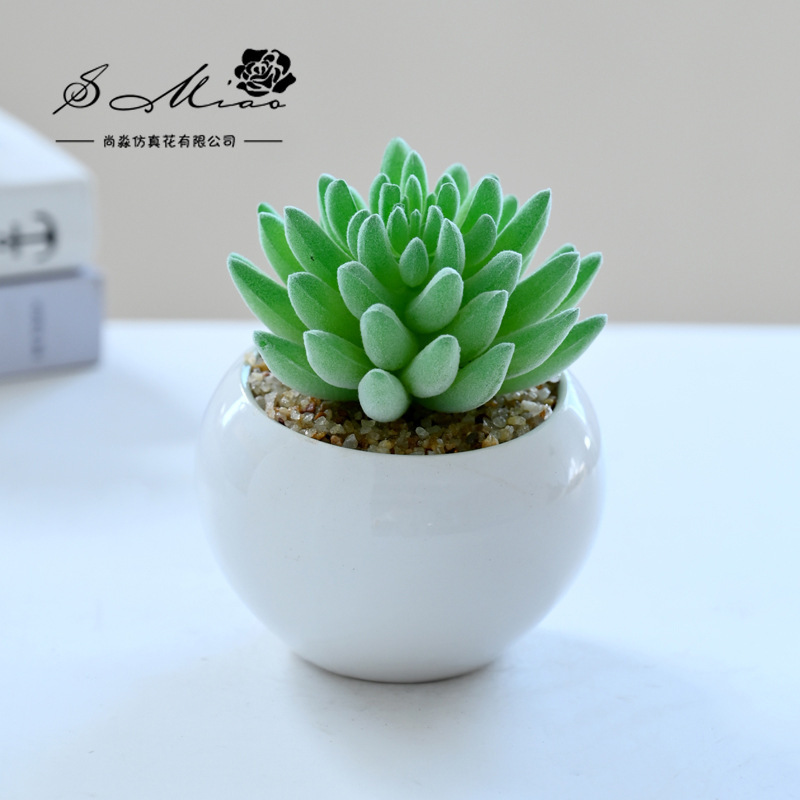 SKU_15
