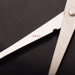 Tijeras para Quitar Anzuelos, Acero Inoxidable, Aparejos de Pesca, Uso en Exteriores - Product Image 4