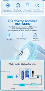 Dispositivo di trattamento delle acque 500 litri all'ora di sistema di depuratore d'acqua ad osmosi inversa