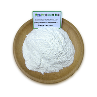 Bubuk l-arginine Aakg kualitas tinggi asam Amino arginine Alfa ketoglutarat AAKG l-arginine alfa-ketoglutarat bubuk