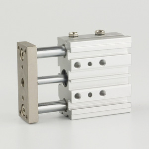 Cylindre de guidage Mgpm 12-10-20-30-50-75-100, corps en aluminium, connexion filetée, amortisseur réglable, magnétique, trois axes - Product Image 2
