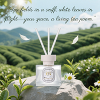 Diffuseur de parfum à rose Arraincosm pour la Saint-Valentin, huile parfumée, bâtonnets de roseau, flacon en verre, sans feu, sans sulfate, longue durée