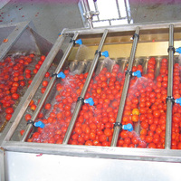 Ketchup Maken Machine Drank Kits Automatische Tomatenpuree Productielijn Machine