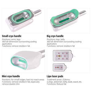 Appareil portable de <span class=keywords><strong>cryolipolyse</strong></span> 360 pour double menton, <span class=keywords><strong>machine</strong></span> amincissante par <span class=keywords><strong>cryolipolyse</strong></span>, <span class=keywords><strong>machine</strong></span> de sculpture par congélation des graisses - Product Image 5