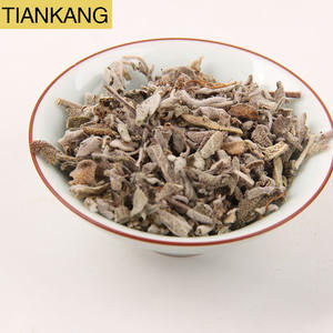 Pabrik Grosir Rumput Ekor Tikus Langsung dari Cina, Obat Herbal Terbaik, Harga Terbaik, Herbal Sage Putih Kering - Product Image 2