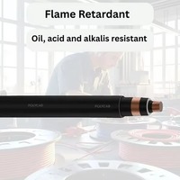 Cable de Cobre Polycab 25KV de la Mejor Calidad, Estándar EPR ICEA, Cable Aislado con XLPE para Sistema de Transmisión de Energía, Disponible para la Venta