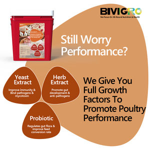 Growstar Mengandung Ekstrak Herbal Mikroekskapsulasi, Ekstrak Ragi, Probiotik untuk Meningkatkan Pertumbuhan Unggas Broiler dan Produksi Telur Petelur - Product Image 2