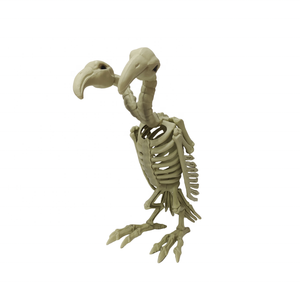 Vulture Whole Body Skeleton Model Bald Eagle Specimen Model <b>Animal</b> Medical Model Pet Hospital Teaching Aids - Product Image 1