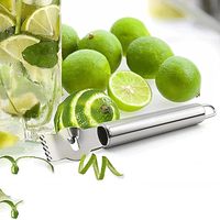 Citron Zester Outil Éplucheur D'agrumes Zester Râpe À Fruits En Acier Inoxydable Râpe Couteau À Éplucher Gadget De Cuisine Polyvalent