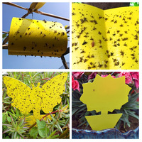Fabrikant Direct Hoge Kwaliteit Groothandel Prijs Fruit Fly Killer Met Feromoon Doden Fruit Flies + Killer Insect Fly Vallen 10 stuks