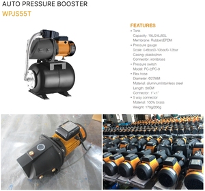 <span class=keywords><strong>Pompe</strong></span> à eau à haute pression automatique WATERPRO 220V, 0,75 CV, réservoir sous pression, moteur 100% cuivre, corps en fonte, pour la famille - Product Image 2