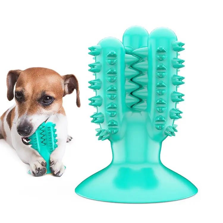 Đa chức năng bị rò rỉ thực phẩm làm cho một âm thanh cây xương rồng Pet Dog làm sạch bàn chải đánh răng răng mài Stick Dog Chew đồ chơi