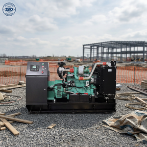 <b>Gas</b> <b>Generator</b> 100KW 125KVA 150KVA 120KW Super Silent Smart Natural With Three Phase HSD-100CG As a Professional Powe - Product Image 1