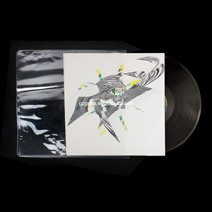 Housse de protection pour disques vinyles de 12 pouces de haute qualité vendue au prix d'usine - Product Image 1