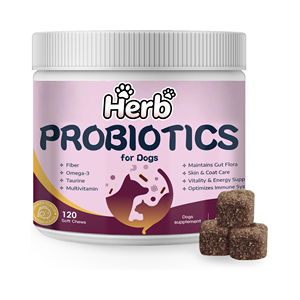 Friandises à mâcher molles probiotiques pour chiens 2,2 g/unité pour la santé intestinale et le soutien immunitaire - Absorption rapide Toutes races Durée de conservation 3 ans Toutes les étapes de vie - Product Image 1