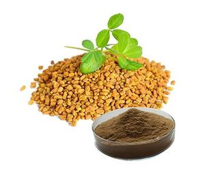 Bubuk Ekstrak Biji Fenugreek Alami Murni 100%  Bubuk Fenusida 50% Grosir - Product Image 2