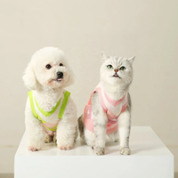 Nouveau pull de luxe pour chien, vêtements populaires pour animaux de compagnie automne-hiver, manteau pour chat Teddy, costume