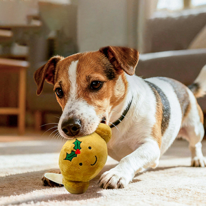 Jouets pour animaux de compagnie NiBao, vente directe d'usine, durables, pour le jeu individuel des animaux de compagnie - Product Image 4