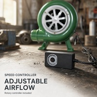 Souffleur de gazéification ZL 80W 66m³/h 5800 tr/min avec roulement à billes, pale en fonte, moteur en cuivre 100-240V pour petit four et équipement de soudage