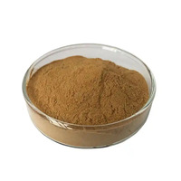 Poudre d'extrait de marron d'eau pure à 99 % avec Alpha Arbutine, complément alimentaire à base de plantes de qualité alimentaire pour la santé des cheveux et du cuir chevelu, emballé sous vide
