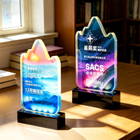 Trophées en forme de montagne avec éclairage LED et logo personnalisé pour les institutions de projets médicaux et de beauté