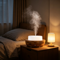 Humidificateur d'air compact pour table, 200 ml, écologique, nébuliseur ultrasonique, fonction de minuterie, diffuseur d'huiles essentielles