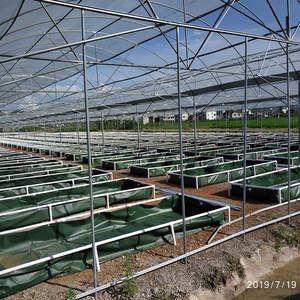 ระบบ Aquaponics เชิงพาณิชย์สำหรับการเลี้ยงปลาน้ำจืดและการเลี้ยงกุ้งเพื่อการเจริญเติบโต - Product Image 5