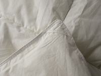 Couette de luxe 100 % coton taille Queen, 48 oz de garnissage, design à compartiments, blanche unie, en plumes d'oie et de canard, pour la maison