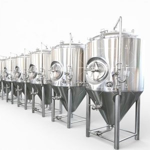 Equipo Completo para Microcervecería Ace de 1000L 2000L, Tanque de Fermentación de Cerveza de 1000 Litros 2000 Litros - Product Image 1