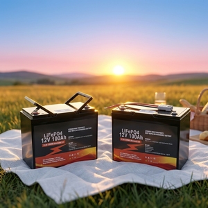 Promo Panas Baterai Lithium LiFePO4 12V 100Ah 200Ah 300Ah dengan BMS Terintegrasi untuk Solar - Product Image 1