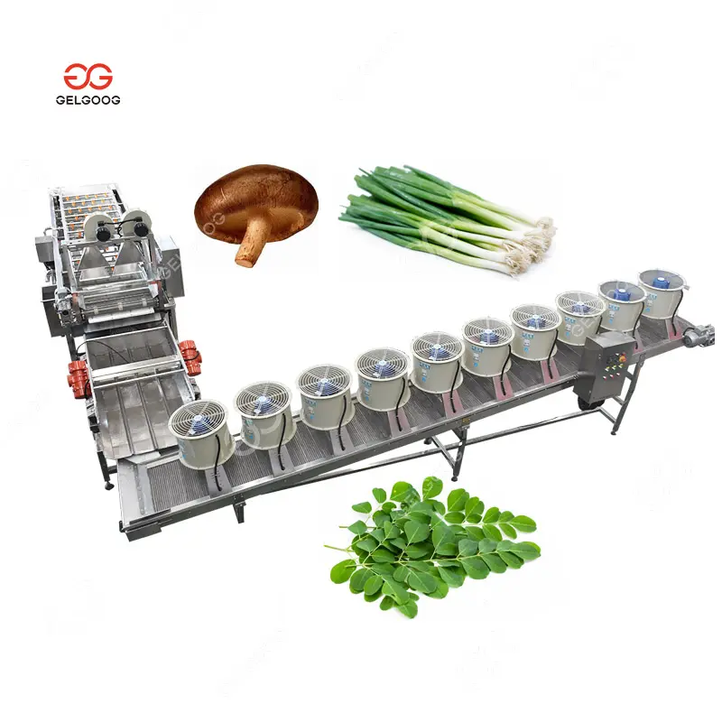 Tự động nấm ô liu lá làm sạch Moringa lá Máy giặt màu xanh lá cây hành tây cho khoai tây