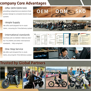 Bicicleta Eléctrica <span class=keywords><strong>de</strong></span> <span class=keywords><strong>Montaña</strong></span> para Adultos, con Asistencia <span class=keywords><strong>de</strong></span> Litio, Estilo Retro Todoterreno, Neumáticos Anchos, Alto Rendimiento, 500W, 48V, Cuadro <span class=keywords><strong>de</strong></span> Acero, en Oferta - Product Image 6