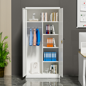 Modern 2-Door <b>Lockable</b> Steel Filing <b>Cabinet</b> Multi-Purpose Commercial Use Hospital Home School Bedroom Gym Hotel Furniture - Product Image 4