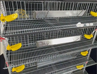 Cage à cailles en fil d'acier à faible teneur en carbone, galvanisée à froid, empilable, avec système d'abreuvement automatique, garantie 1 an, directement de l'usine QianQin