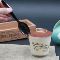 Cuillère-fourchette réutilisable en plastique noir pour glace et dessert